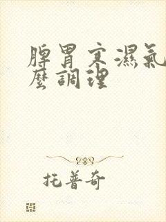 脾胃寒湿气重怎么调理