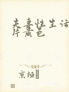 夫妻性生活一级片黄色