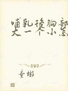 哺乳后胸部一个大一个小怎么办封面