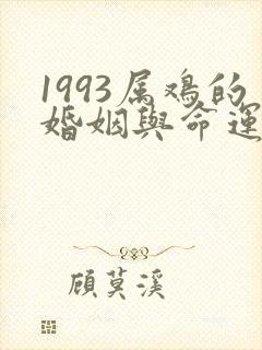 1993属鸡的婚姻与命运