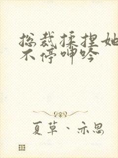 总裁揉捏她两乳不停呻吟