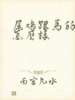 属鸡跟马的姻缘怎么样封面