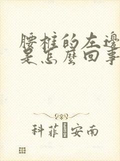 腰椎的左边疼痛是怎么回事