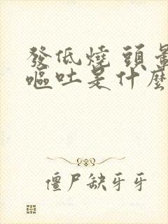 发低烧 头晕 呕吐是什么原因引起的