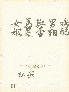 女马与男鸡的婚姻是否相配