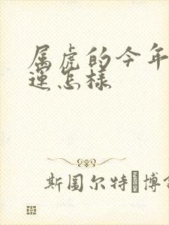 属虎的今年偏财运怎样