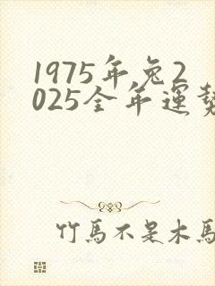 1975年兔2025全年运势详解