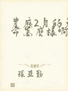 农历2月的兔子命怎么样啊封面