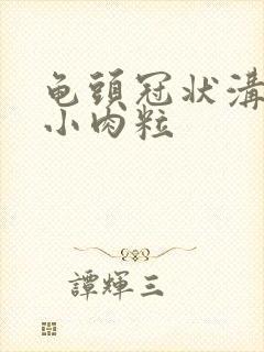 龟头冠状沟一排小肉粒封面