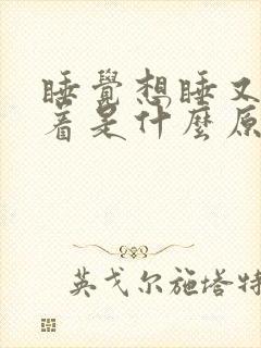 睡觉想睡又睡不着是什么原因封面