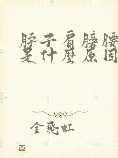 脖子肩膀腰酸疼是什么原因