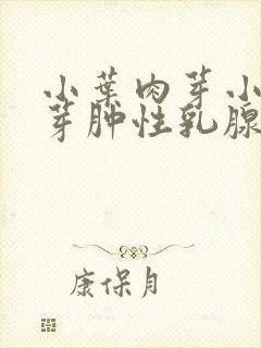 小叶肉芽小叶肉芽肿性乳腺炎怎么治