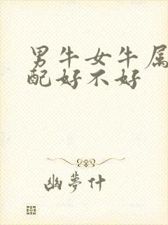 男牛女牛属相婚配好不好封面