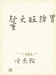 肝火旺脾胃湿气重