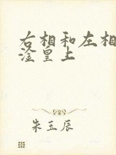 右相和左相一起淦皇上