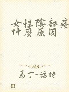 女性阴部瘙痒是什么原因