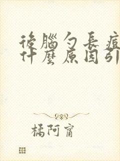 后脑勺长痘痘是什么原因引起的