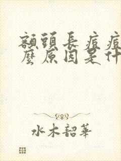 额头长痘痘是什么原因是什么