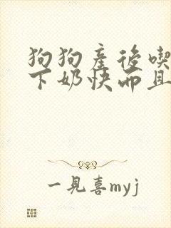 狗狗产后吃什么下奶快而且奶多