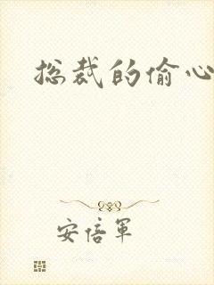 总裁的偷心娇妻封面