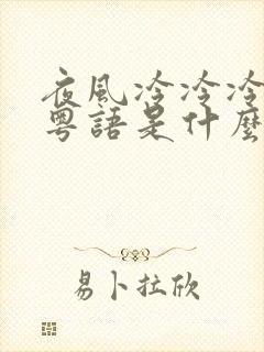 夜风冷冷冷歌词粤语是什么歌封面