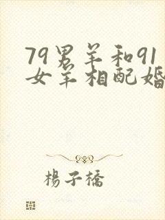 79男羊和91女羊相配婚姻如何