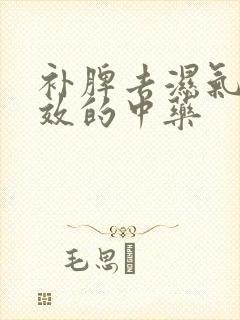 补脾去湿气最有效的中药封面