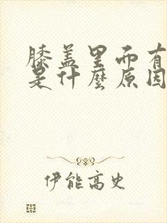 膝盖里面有点疼是什么原因封面