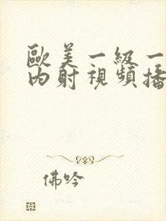 欧美一级一级片内射视频播放