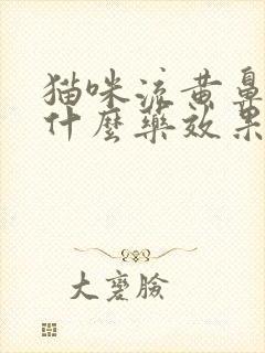 猫咪流黄鼻涕吃什么药效果好封面