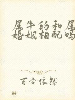 属牛的和属兔的婚姻相配吗