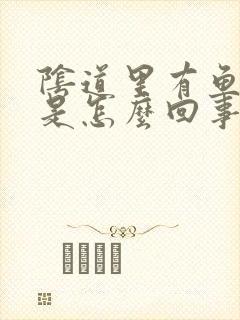 阴道里有鱼腥味是怎么回事