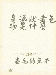 鼻涕状黄色分泌物是什么