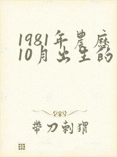 1981年农历10月出生的鸡命运