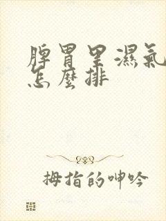 脾胃里湿气太重怎么排