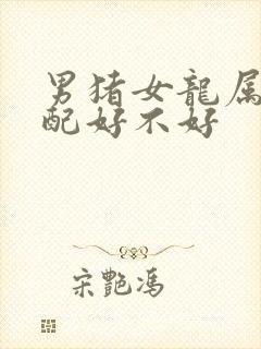 男猪女龙属相婚配好不好封面