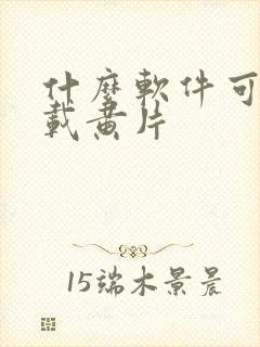 什么软件可以下载黄片