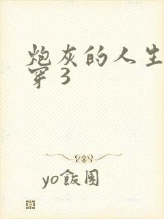 炮灰的人生 快穿 3封面