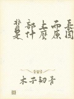 背部上面长痘痘是什么原因引起的