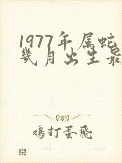 1977年属蛇几月出生最好命运