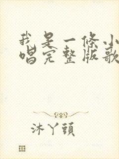 我是一条小河原唱完整版歌词