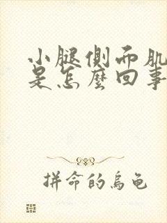 小腿侧面肌肉疼是怎么回事