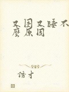 又困又睡不着什么原因封面