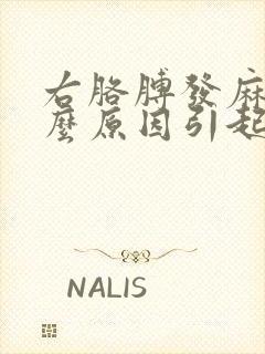 右胳膊发麻是什么原因引起的