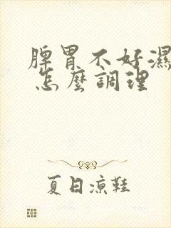 脾胃不好湿气重 怎么调理