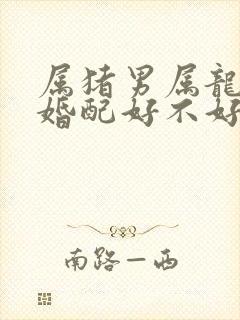 属猪男属龙女的婚配好不好