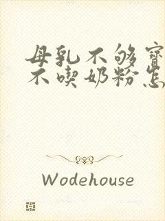 母乳不够宝宝又不吃奶粉怎么办啊