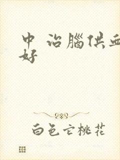 中 治脑供血不好