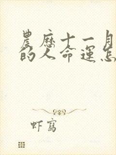 农历十一月属蛇的人命运怎么样的