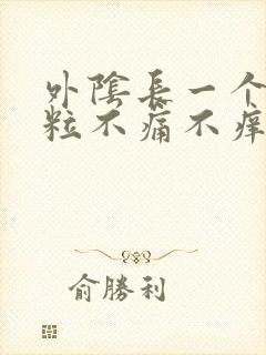 外阴长一个小肉粒不痛不痒